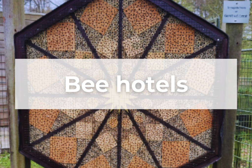 Enhancing-Biodiversity-Bee-Hotel