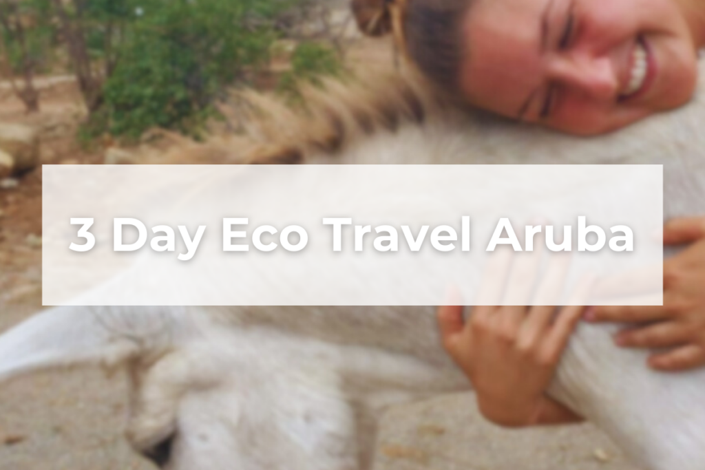 Donkey Sanctuary Eco travel Aruba