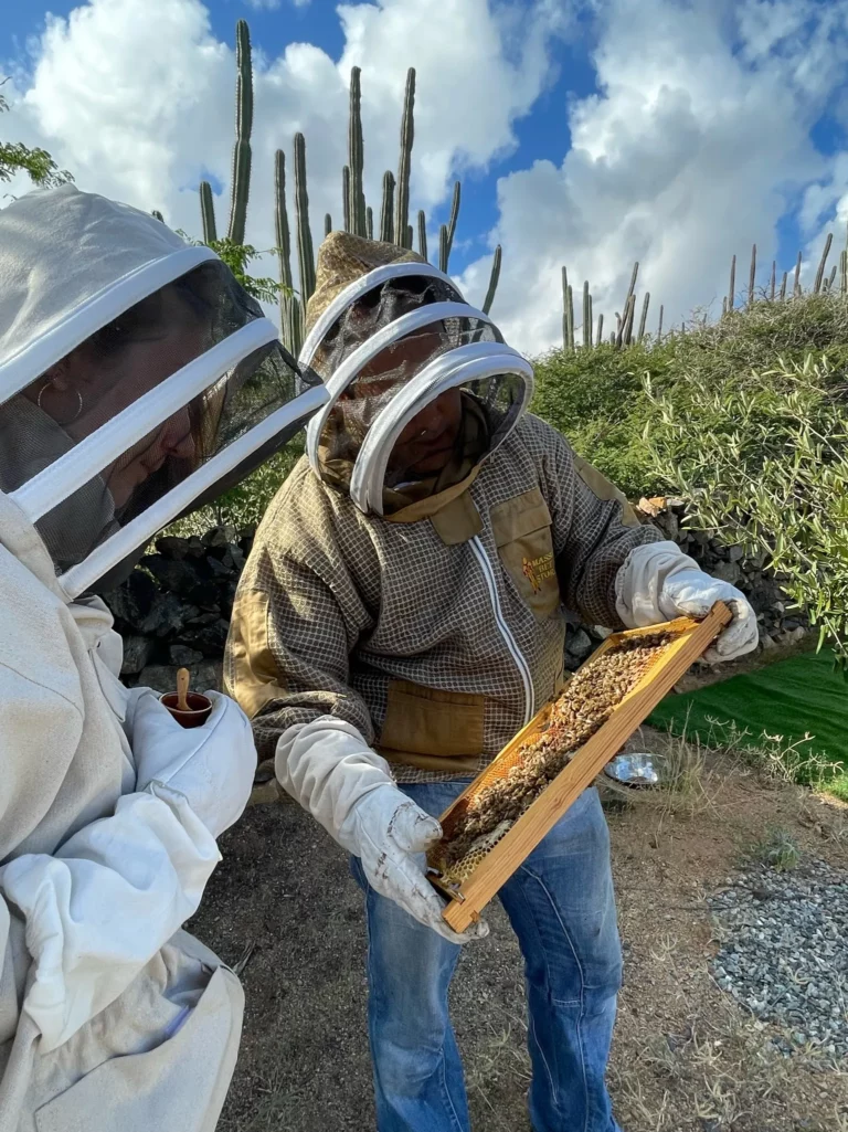 Bee keeping Aruba