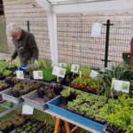 Plant fair