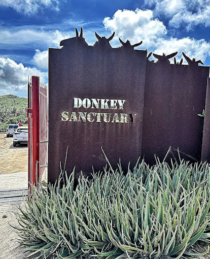 Donkey Sanctuary