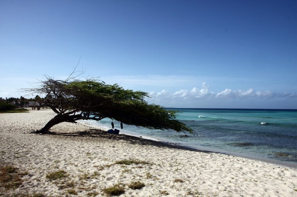 beach, aruba, sandy beach-26016.jpg