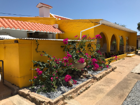 Aruba yellow cunucu house