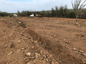 Goshen preparing the land Area 1