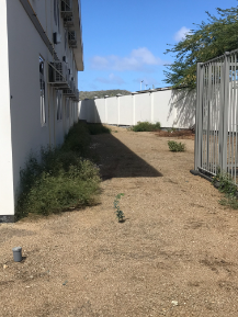 School garden empty before and after