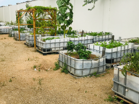 Wicking beds, grow beds