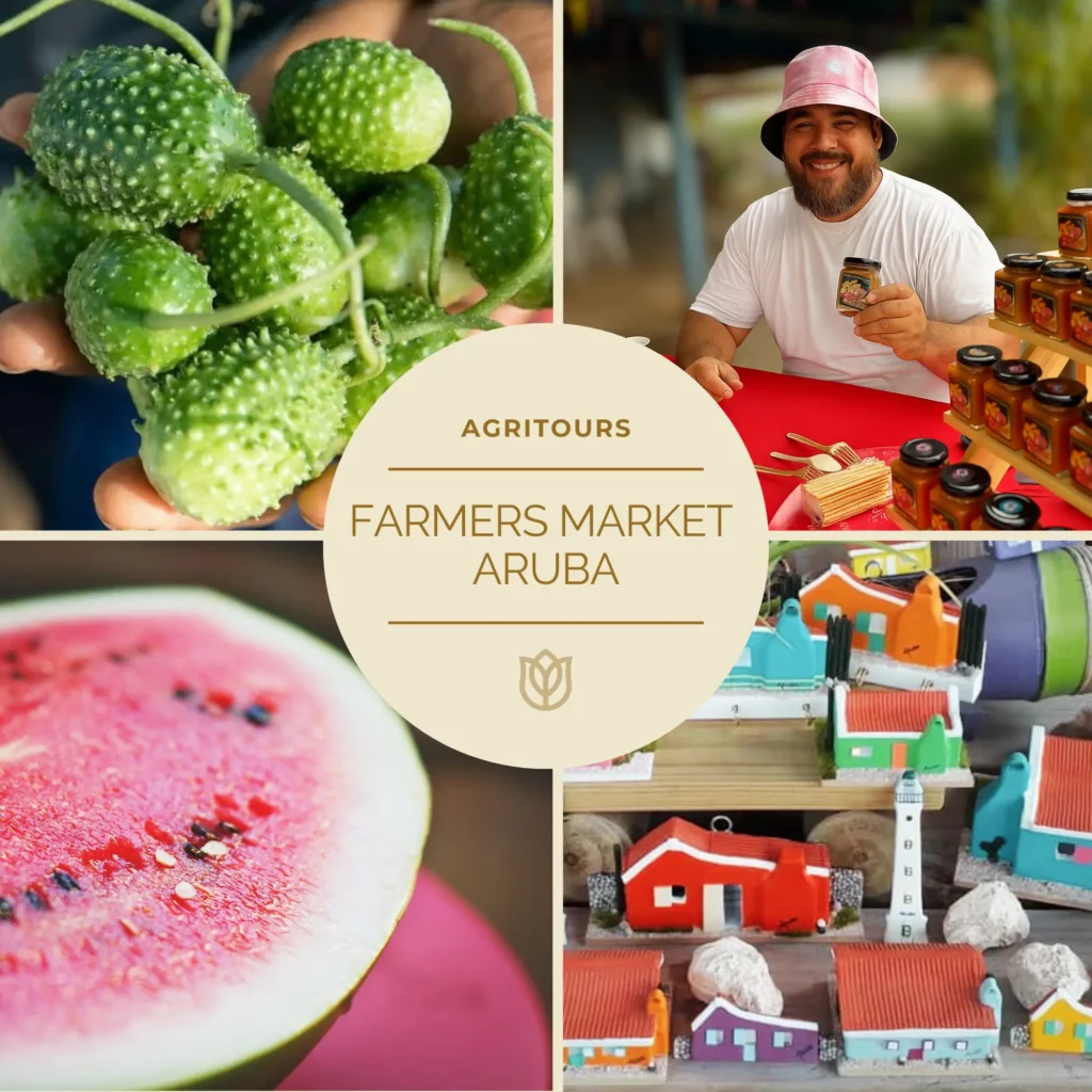 Farmers market Aruba with local harvest of watermelon Aruban cucumber and artisanal houses merchant with a hat selling hot sauces