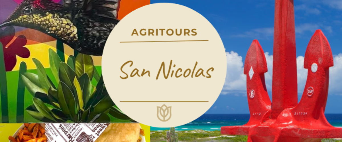 San nicolas things to do agritours (1)